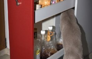 portabottiglie estraibile con gatto
