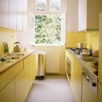 progettazione degli interni di una cucina lunga e stretta