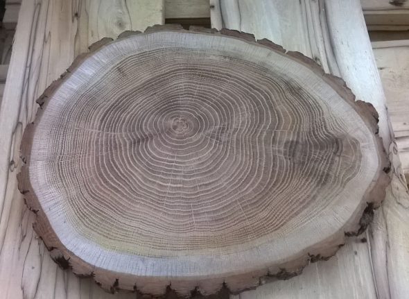 taglio di legno per tavolo