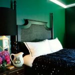 Mobili neri in una camera da letto verde