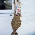 pesce giornale