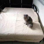 Divano letto con meccanismo a fisarmonica multicolore foto