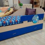 delfino del letto blu