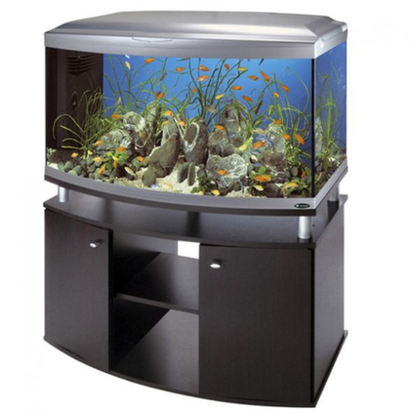 Vista del mobiletto dell'acquario