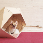 cuccia per cani in compensato