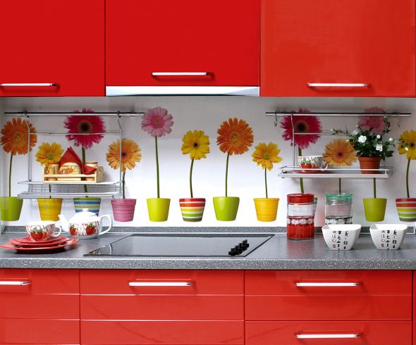 cucina dbsp