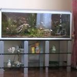 supporto in vetro per acquario