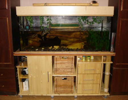 supporto per acquario all'interno