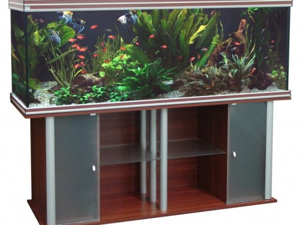 scegliere un design per un supporto per acquario