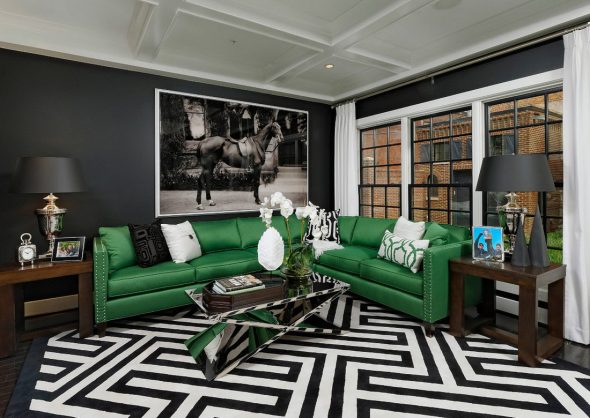 design del divano verde