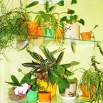 Mensole angolari invisibili per fiori