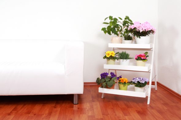 mensola da parete, per fiori con le tue mani