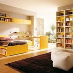 Stanza luminosa e soleggiata con librerie