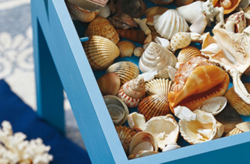 decorazione con conchiglie