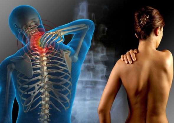 I lettini da massaggio Nuga Best sono stati creati per trattare i problemi alla colonna vertebrale