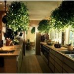 Interni insoliti della cucina secondo il Feng Shui