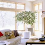 Secondo il Feng Shui è meglio non lasciare angoli vuoti nel soggiorno; puoi metterci delle piante