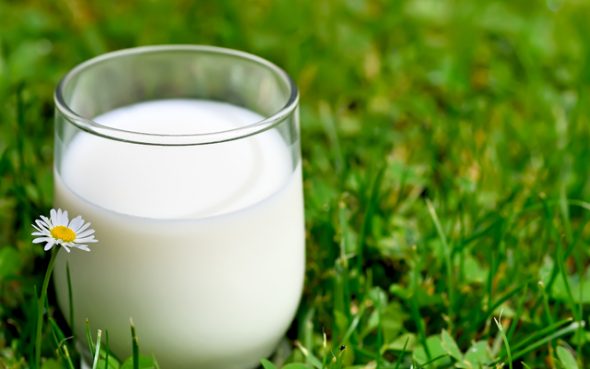 Usi insoliti del latte