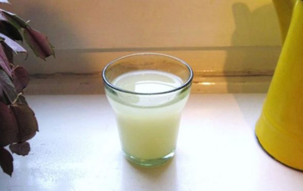Succo di crauti