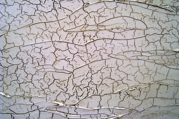 crepe decorative