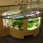 Acquario sotto il tavolo: elegante e originale