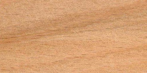 Legno di faggio