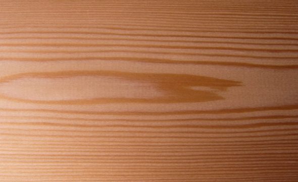Legno di larice