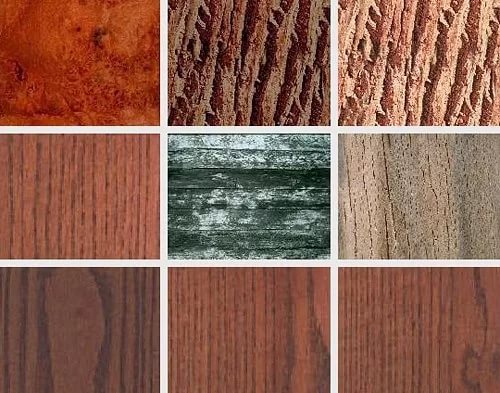 Legno di varie specie