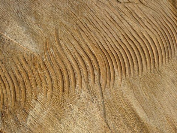 Texture e motivo