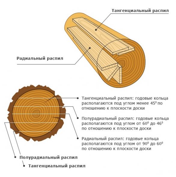 Segare il legno