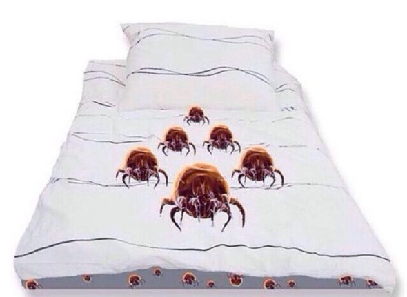 Stirare la biancheria da letto contro le zecche