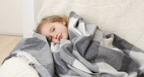 coperta di lana