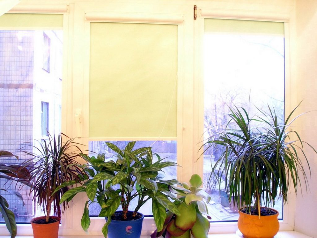 Piante da appartamento su un davanzale di plastica