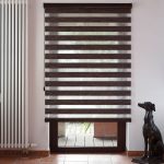 Statuetta di cane all'interno del soggiorno