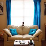 Le tende blu e i cuscini decorativi dello stesso tono sono un accento luminoso negli interni