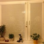 Piante da interno su un davanzale in PVC