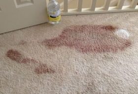 Rimozione del sangue dal tappeto
