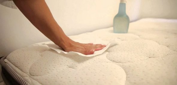 Utilizzare tovaglioli di carta per le macchie