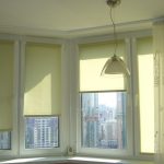 Tenda dritta su una finestra con tapparelle