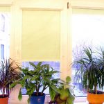 Piante da appartamento su un davanzale di plastica
