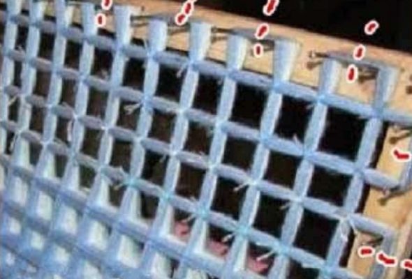Abbiamo tagliato la nostra coperta dai chiodi