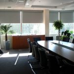 Piante vive all'interno dell'ufficio