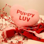 Cuscino a forma di cuore con iscrizioni
