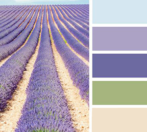 Combinazione di colori provenzali