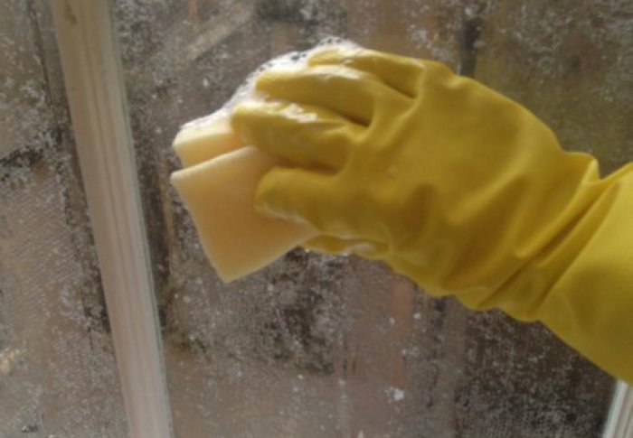 Lavare i vetri delle finestre con una spugna per i piatti