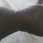 Cuscino in morbida pelle naturale con imbottitura in poliestere all'interno