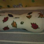 Cuscino a forma di osso di petalo fai da te