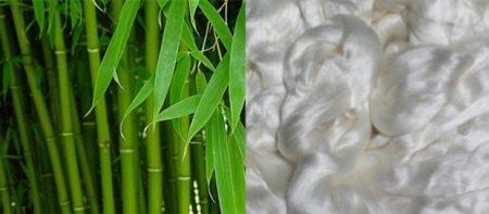 Bambù e fibra di bambù