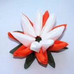 idee per foto di fiori di loto da tovaglioli