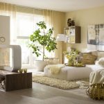 Piante vive all'interno del soggiorno